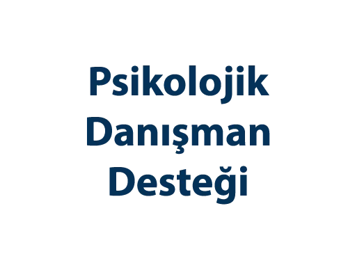 Gizem Sevcan SURAL